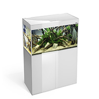 Аквариум с тумбой Aquael Glossy 120 белый